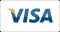 You can purchase tokens by Visa card